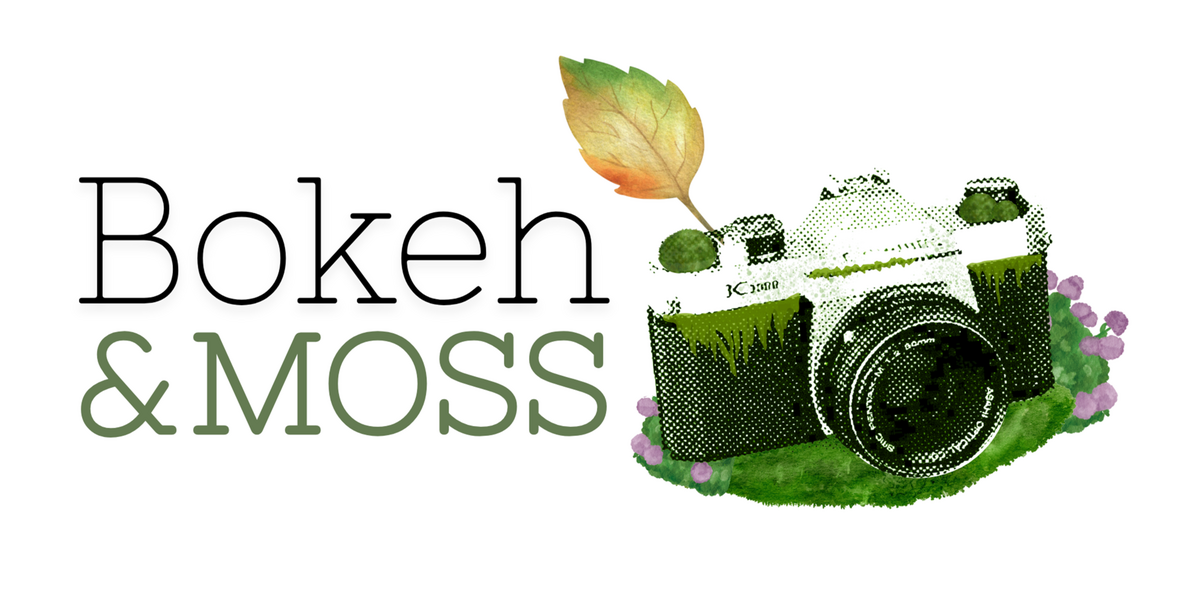 Substack: Bokeh and Moss